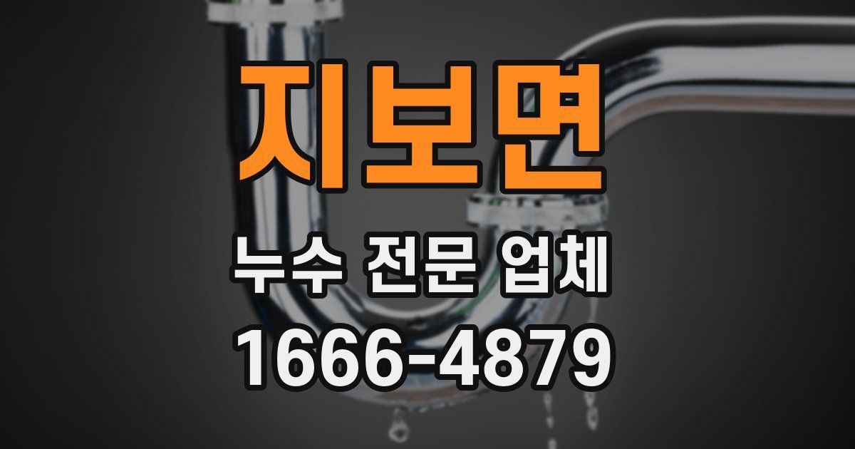 지보면 누수 전문 업체