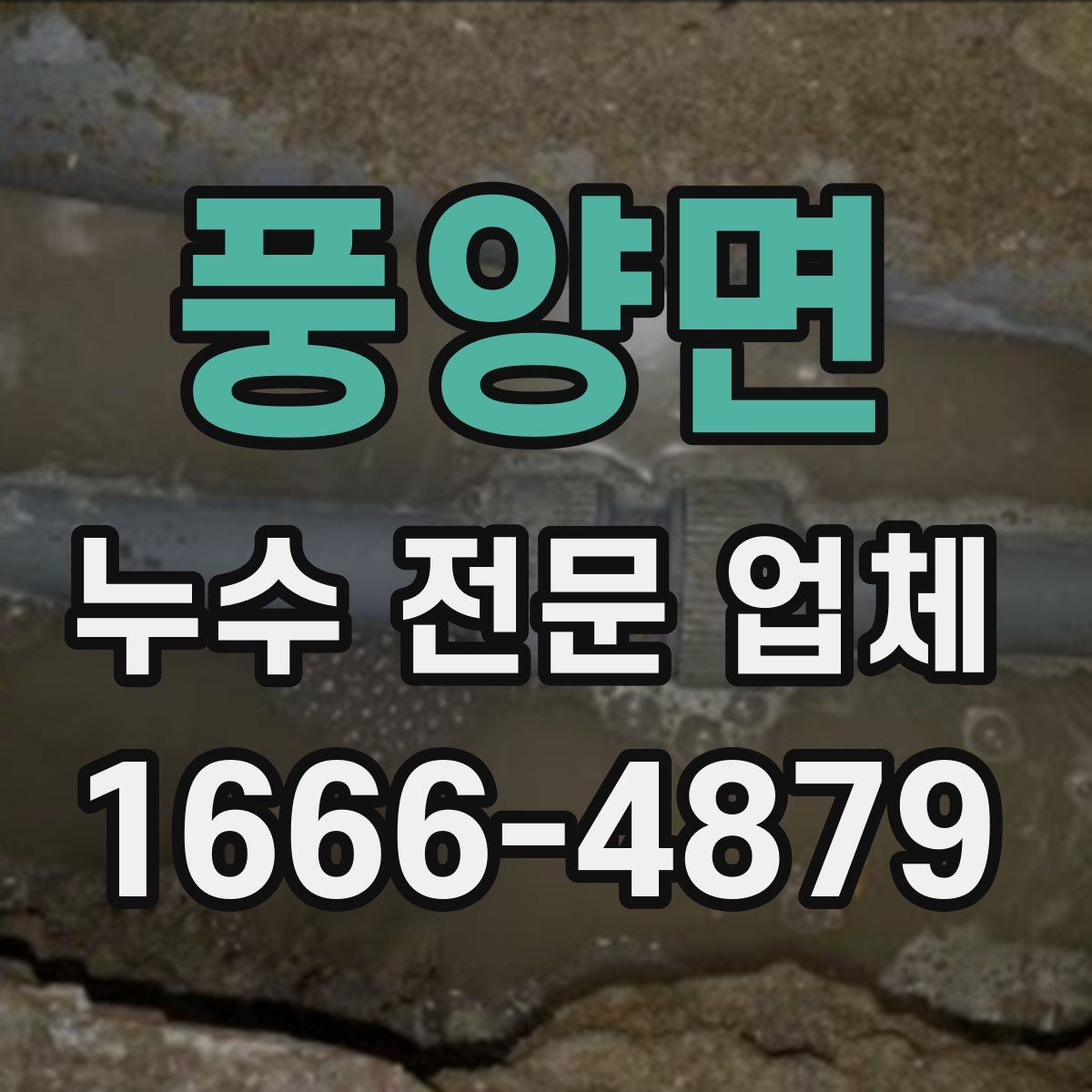 풍양면 누수 전문 업체