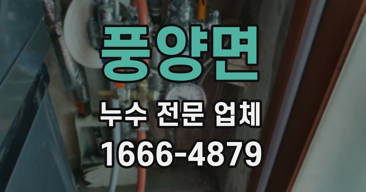 풍양면 누수 전문 업체