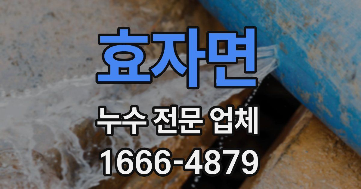 효자면 누수 전문 업체
