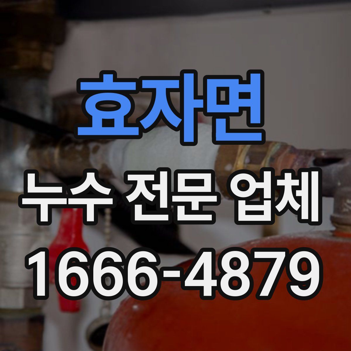 효자면 누수 전문 업체