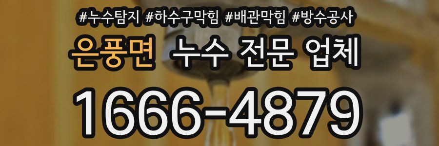 은풍면 누수 전문 업체