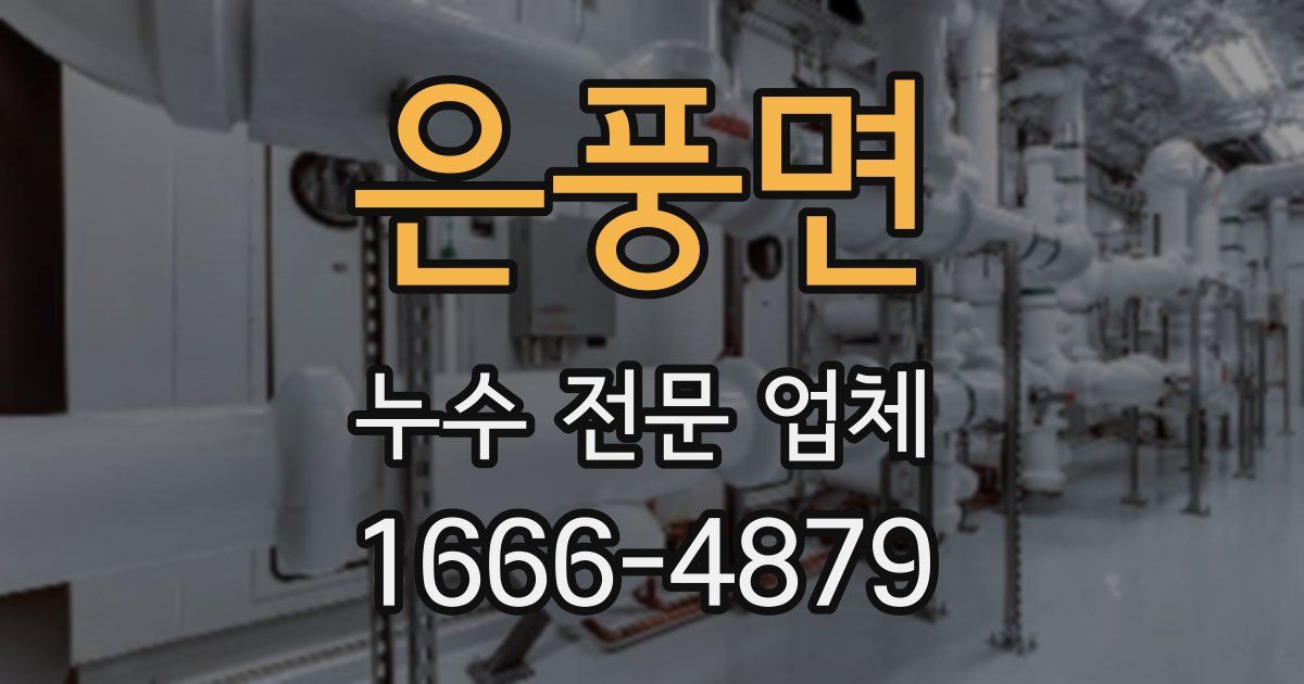 은풍면 누수 전문 업체