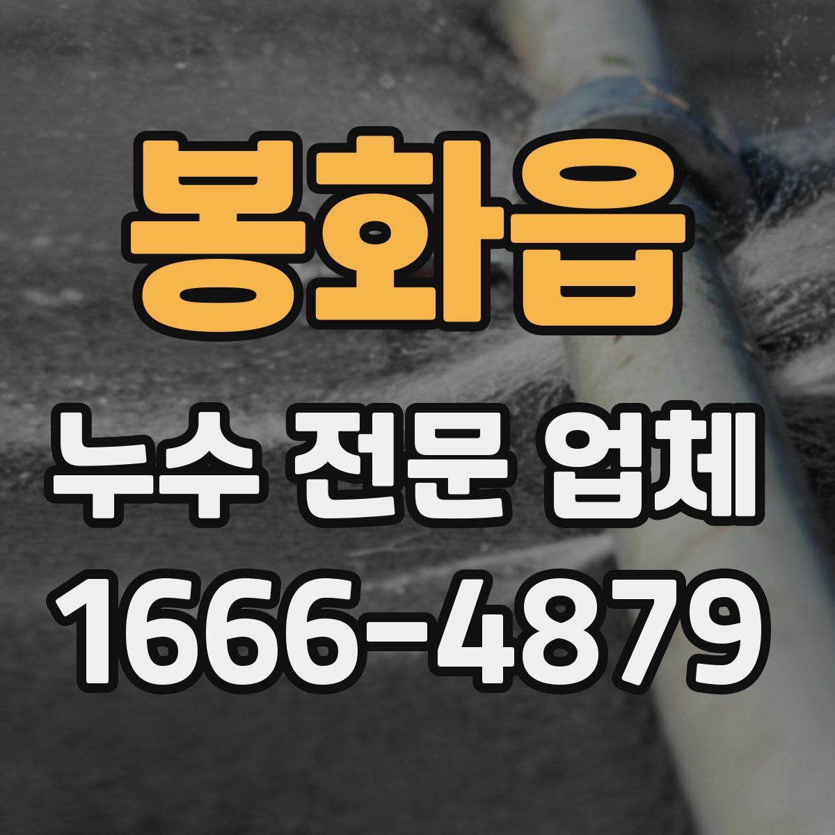 봉화읍 누수 전문 업체