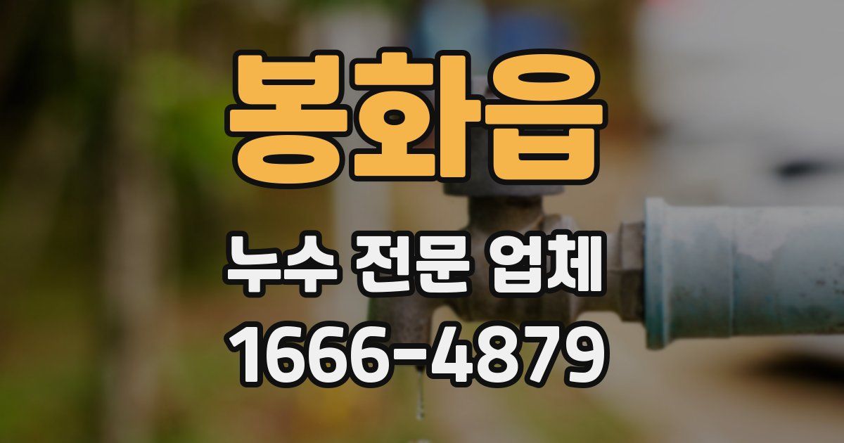 봉화읍 누수 전문 업체