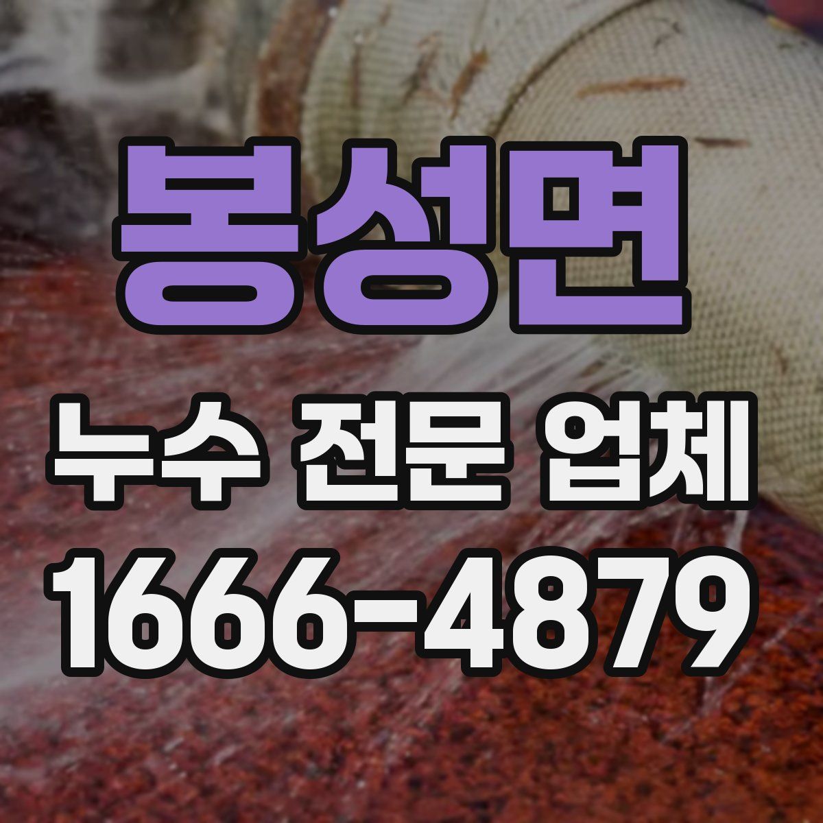 봉성면 누수 전문 업체
