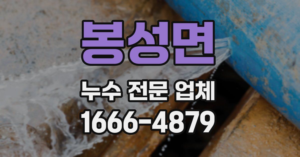 봉성면 누수 전문 업체