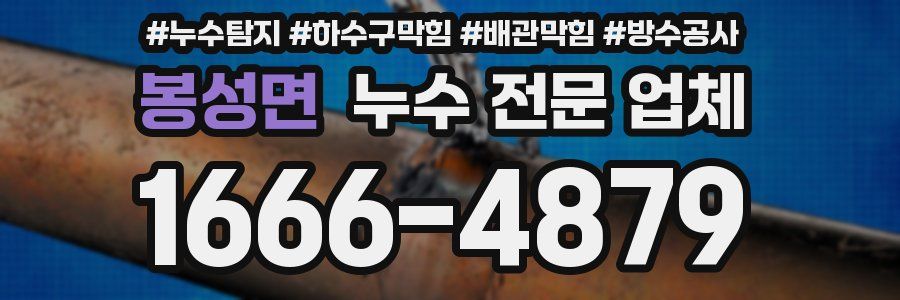 봉성면 누수 전문 업체