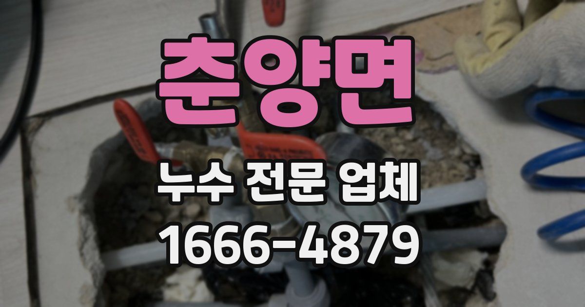 춘양면 누수 전문 업체