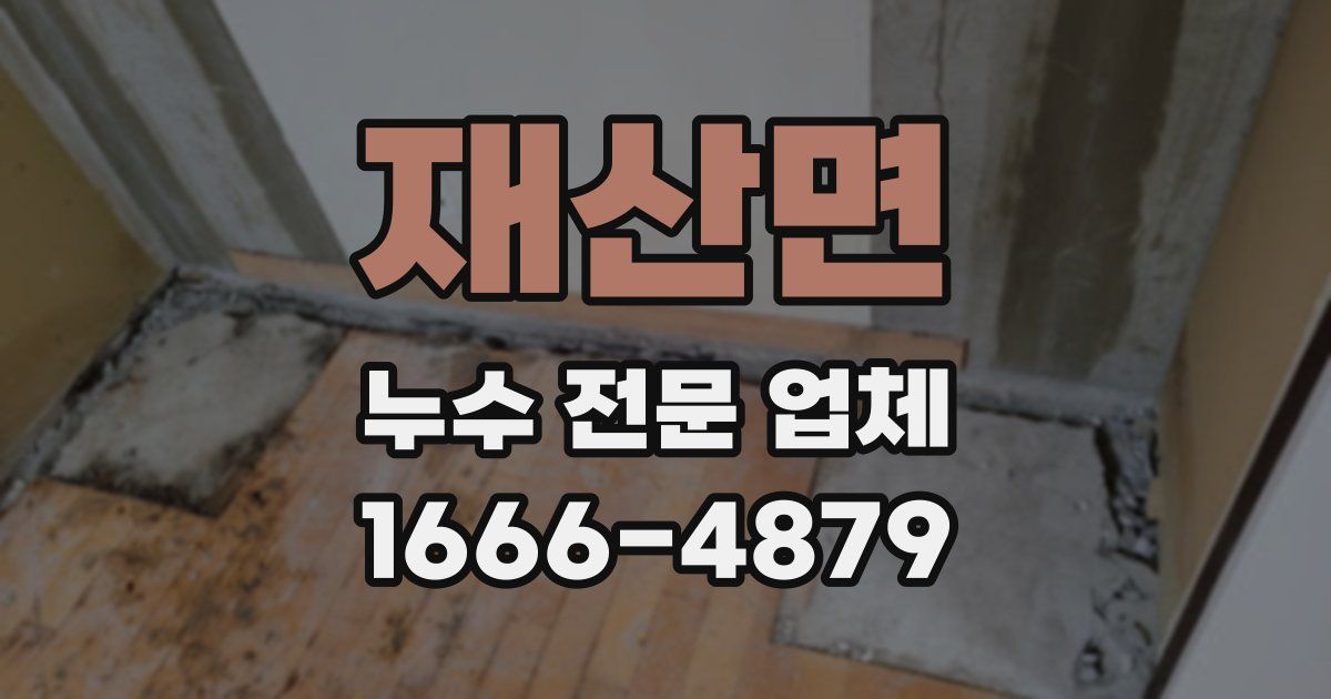 재산면 누수 전문 업체