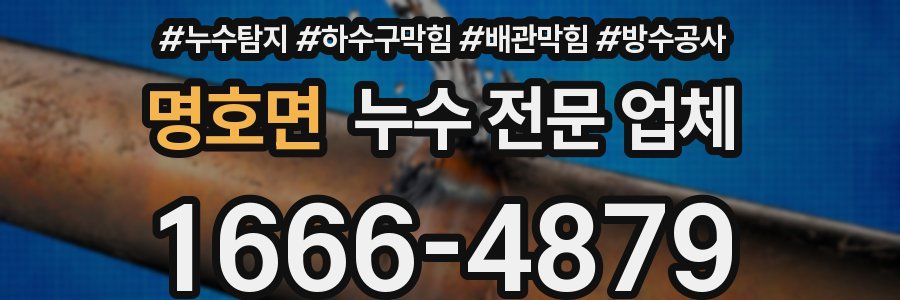 명호면 누수 전문 업체