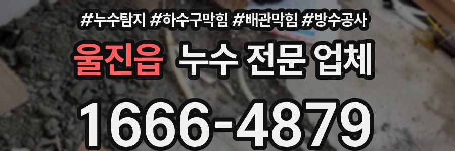 울진읍 누수 전문 업체