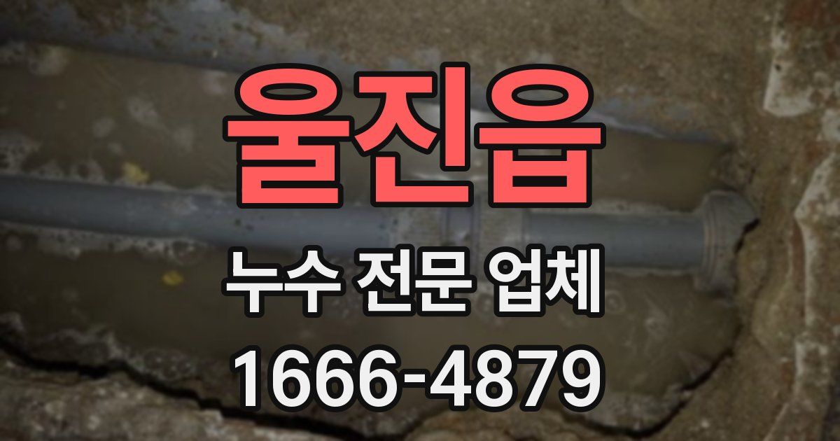 울진읍 누수 전문 업체