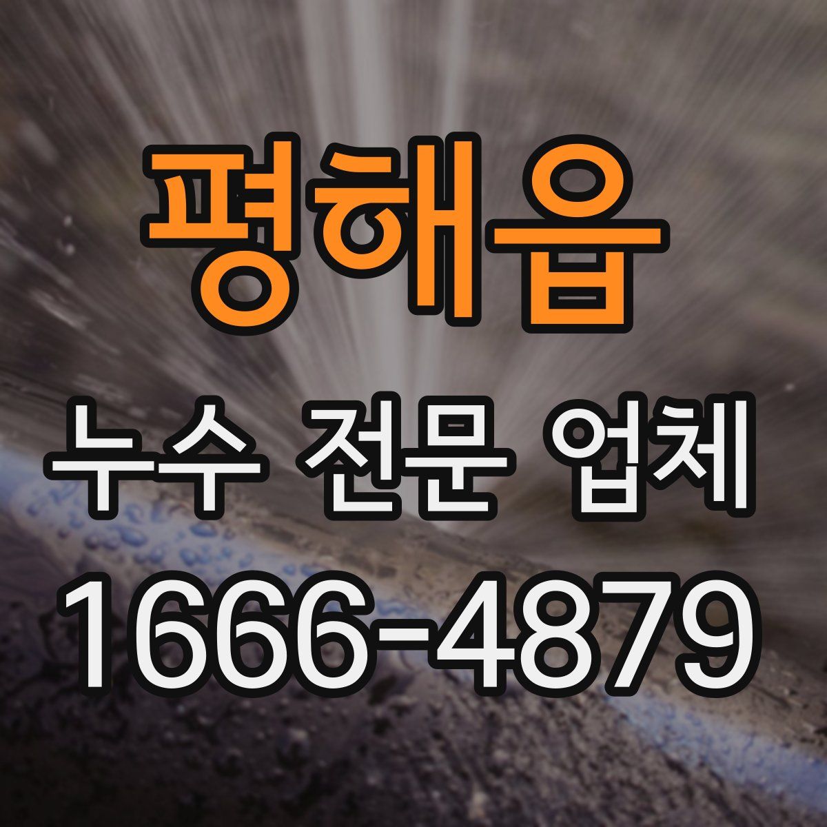 평해읍 누수 전문 업체