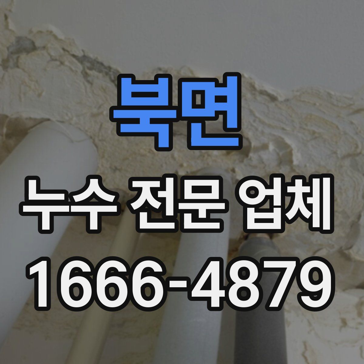 북면 누수 전문 업체