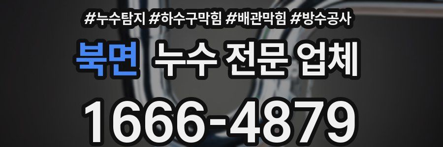 북면 누수 전문 업체