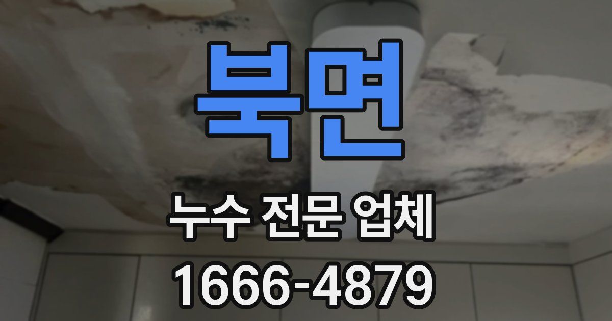 북면 누수 전문 업체