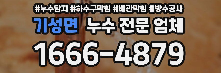 기성면 누수 전문 업체