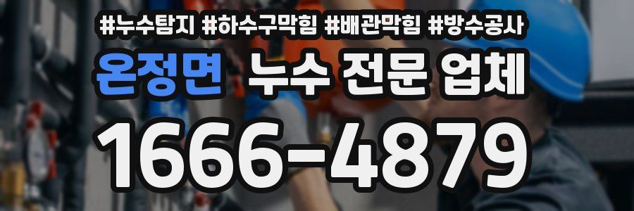 온정면 누수 전문 업체