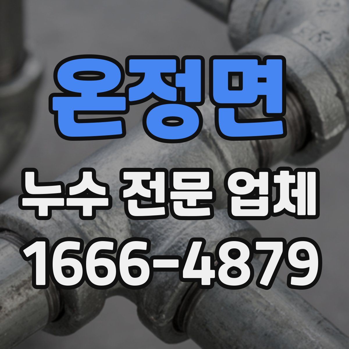 온정면 누수 전문 업체