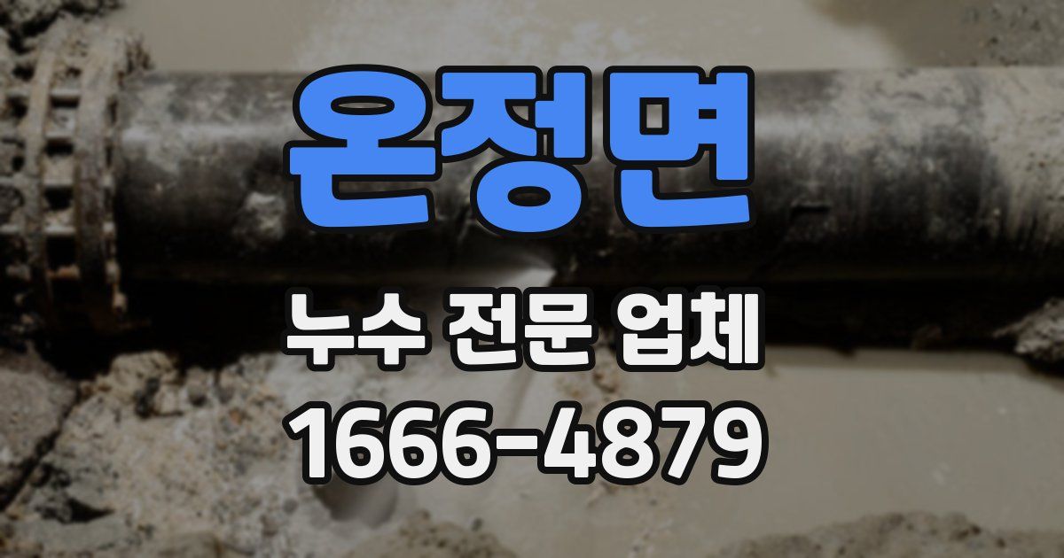 온정면 누수 전문 업체