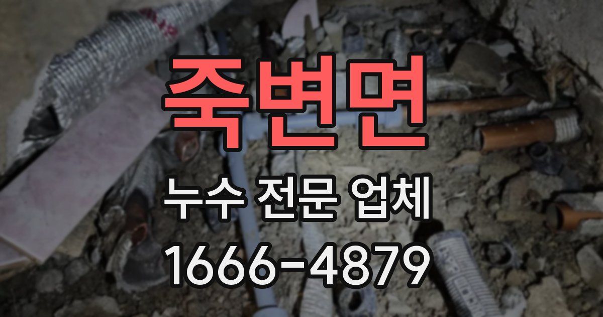 죽변면 누수 전문 업체