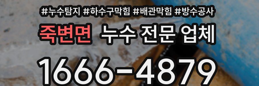 죽변면 누수 전문 업체