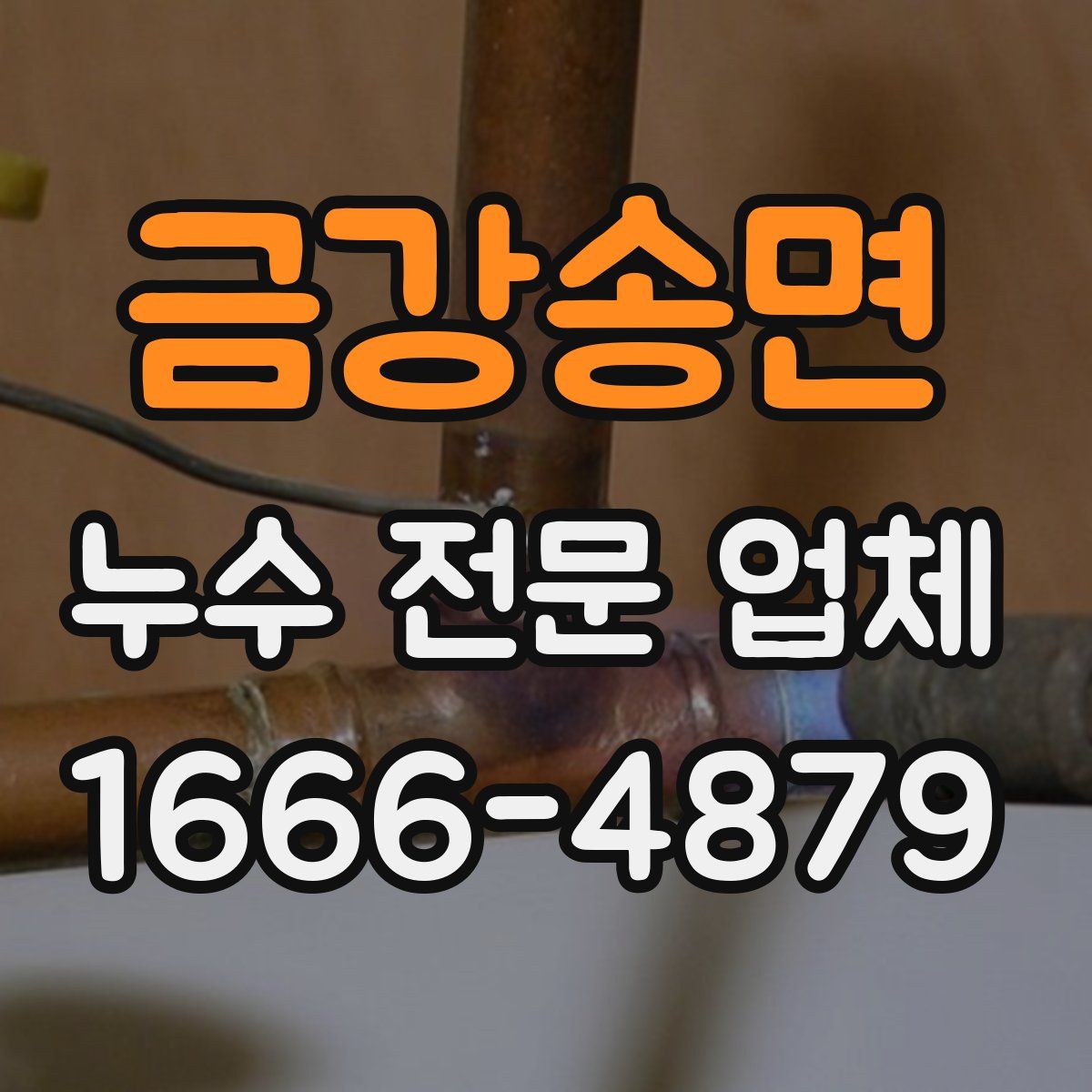 금강송면 누수 전문 업체
