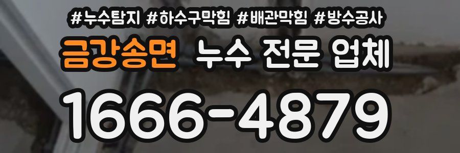 금강송면 누수 전문 업체