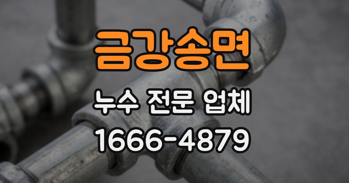 금강송면 누수 전문 업체
