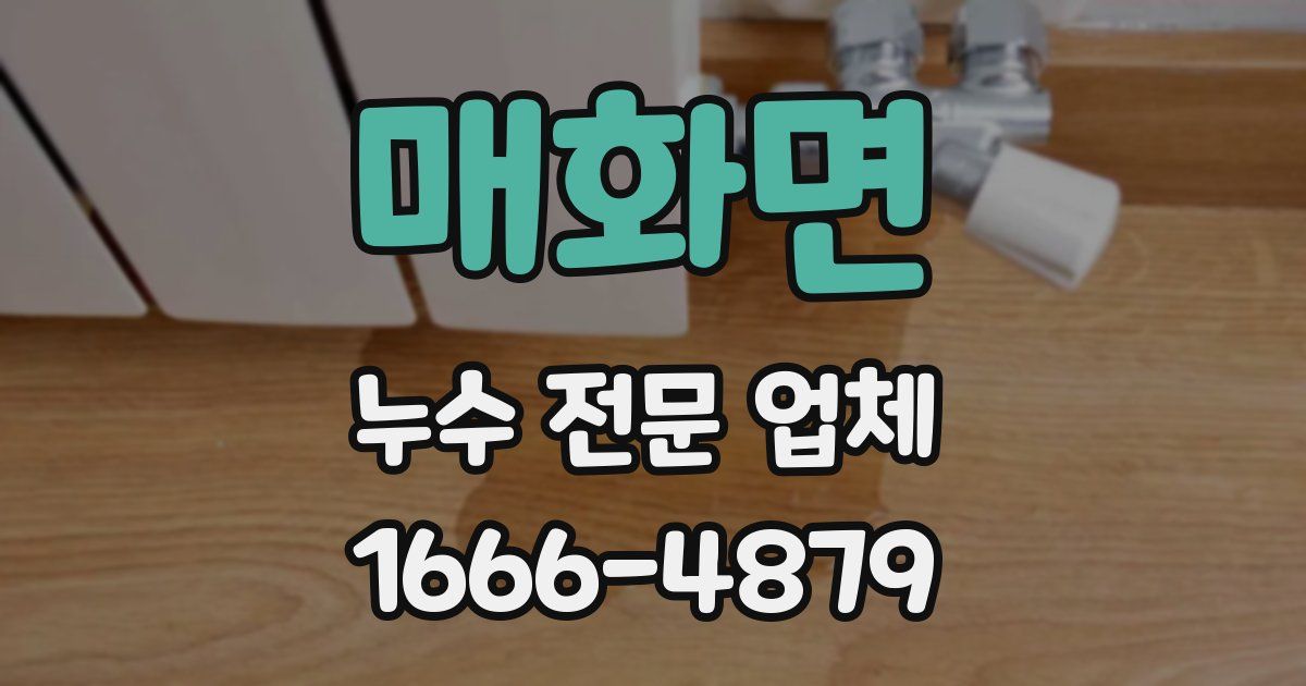 매화면 누수 전문 업체