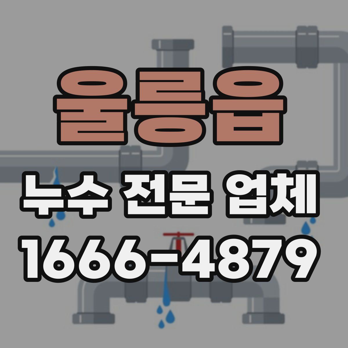 울릉읍 누수 전문 업체