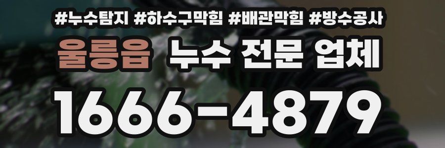 울릉읍 누수 전문 업체