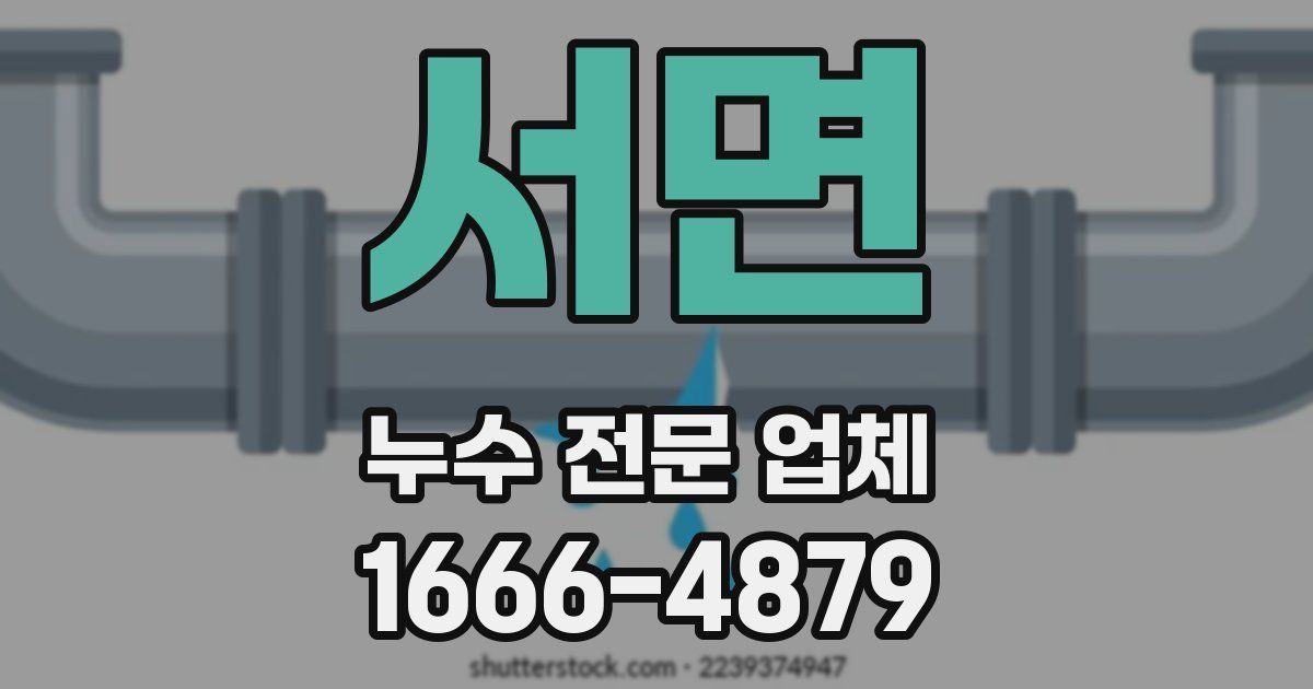 서면 누수 전문 업체