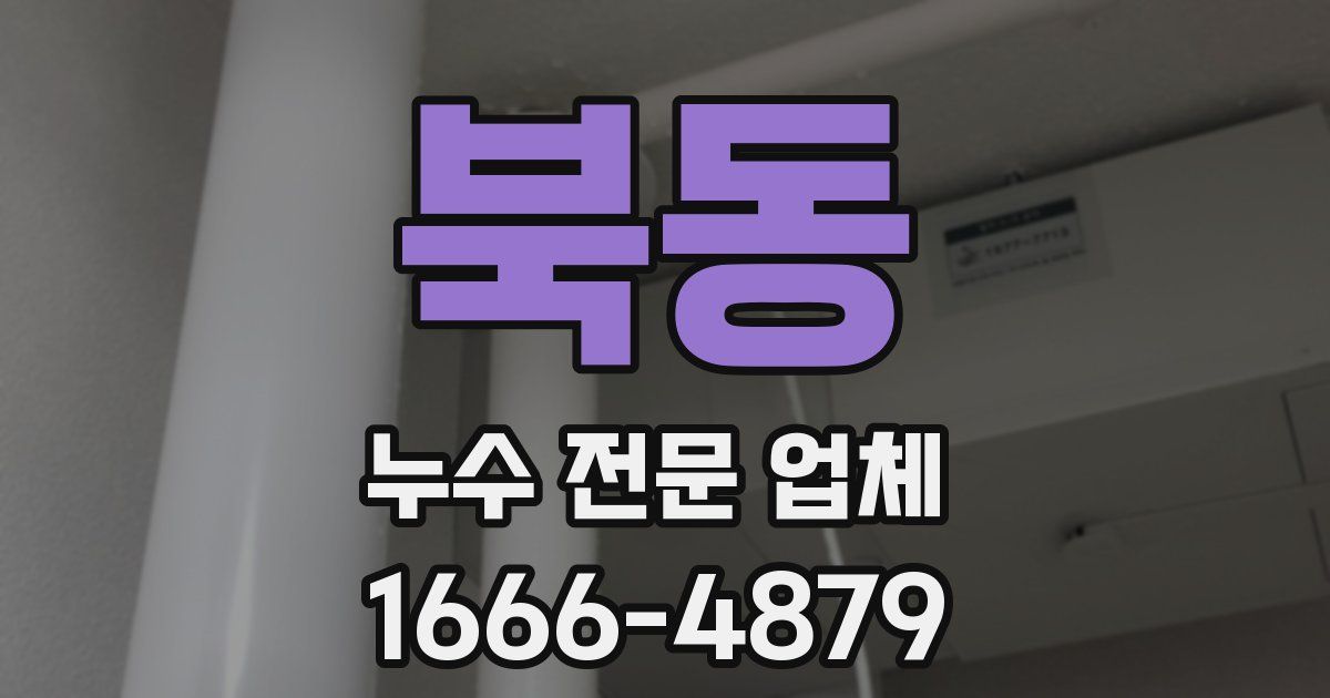 북동 누수 전문 업체