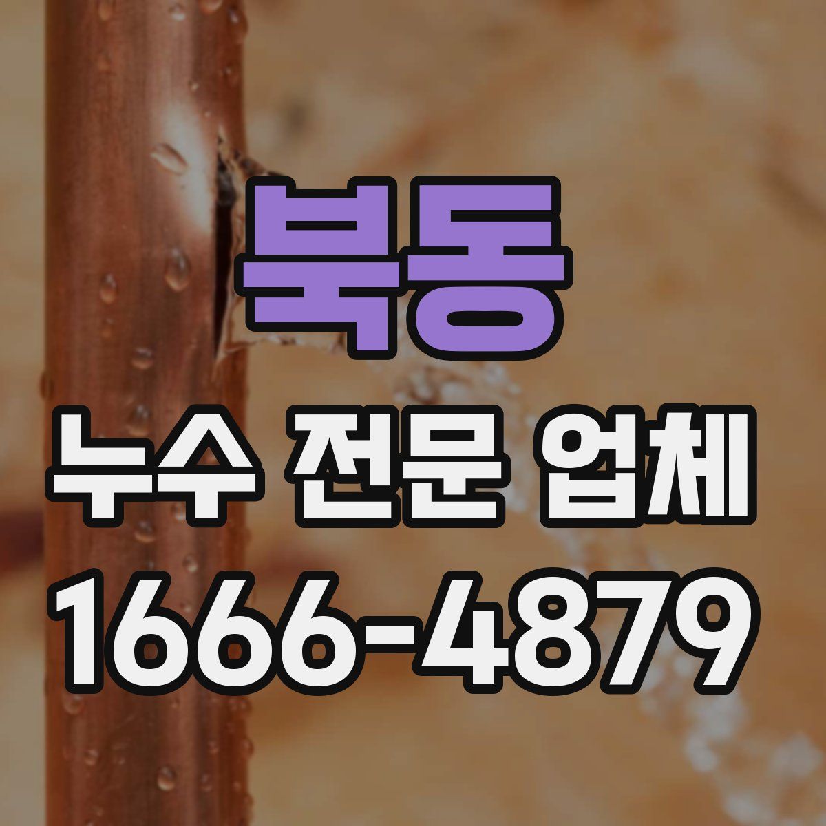 북동 누수 전문 업체