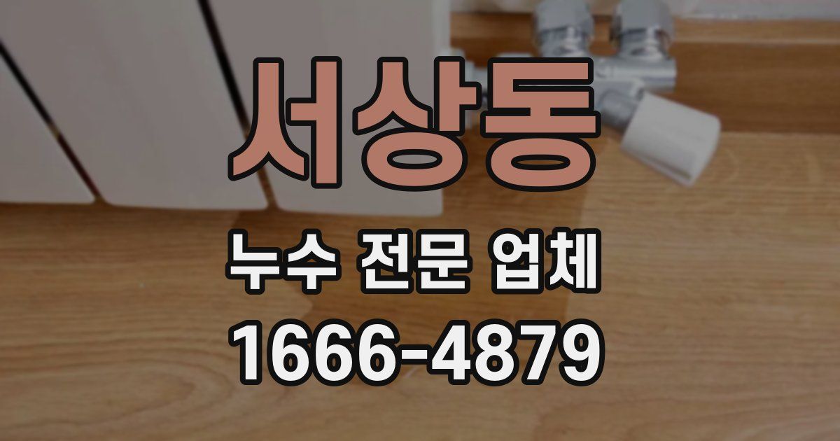 서상동 누수 전문 업체