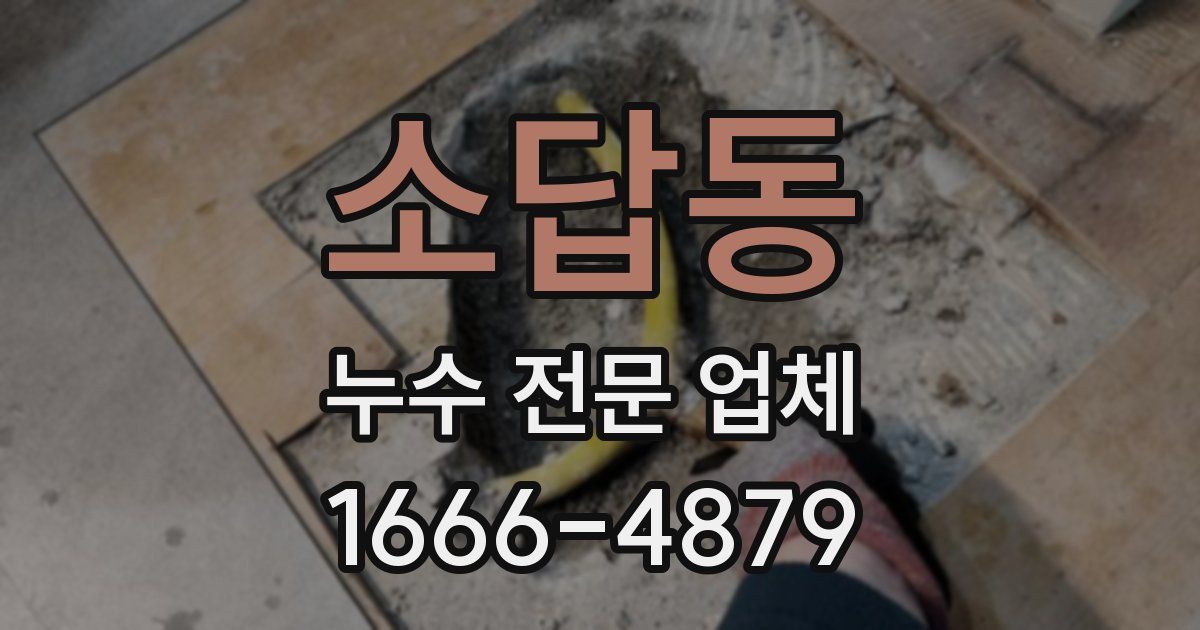 소답동 누수 전문 업체