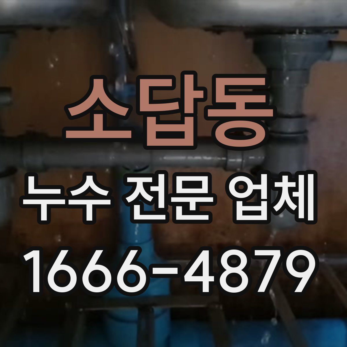 소답동 누수 전문 업체