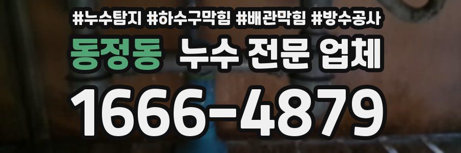 동정동 누수 전문 업체