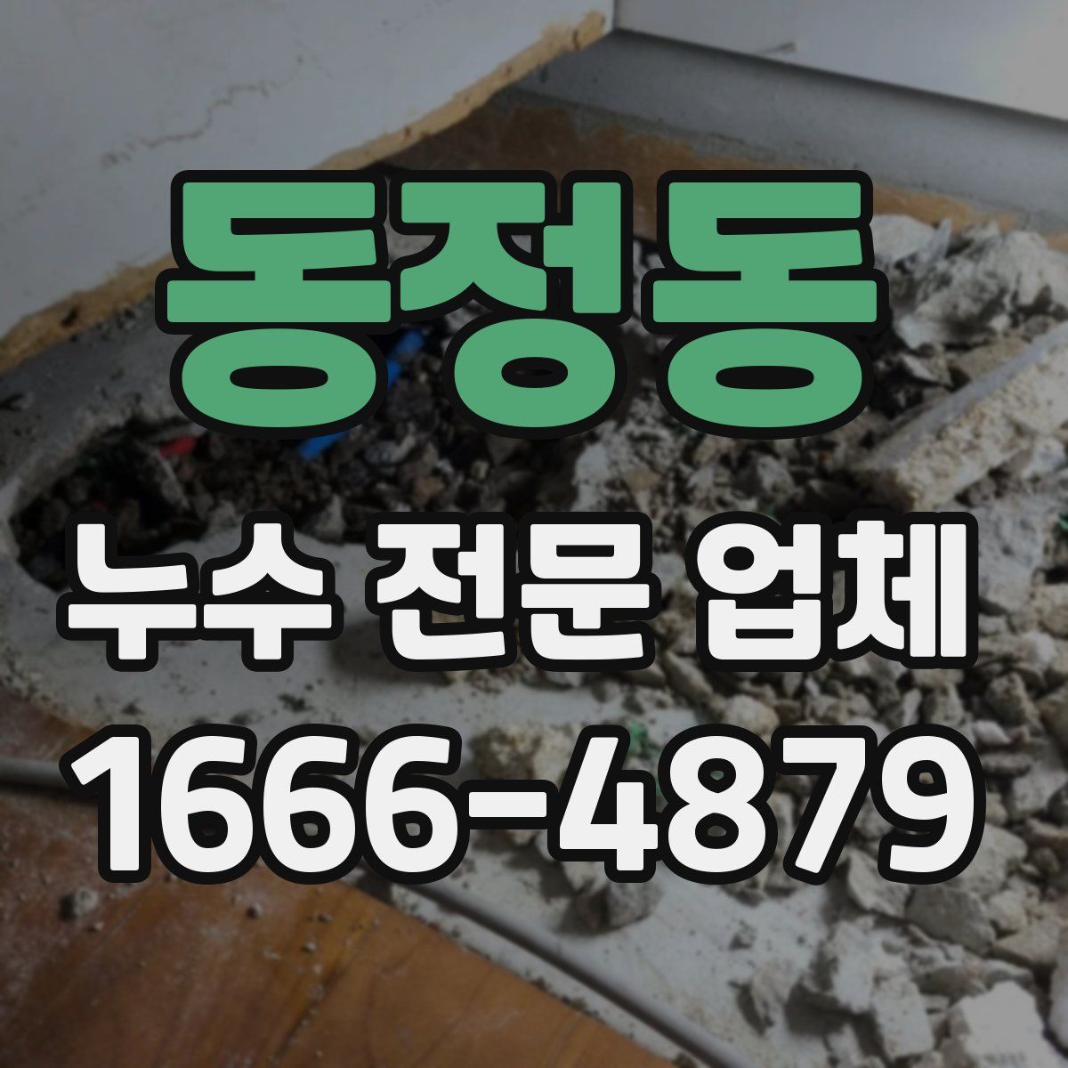 동정동 누수 전문 업체