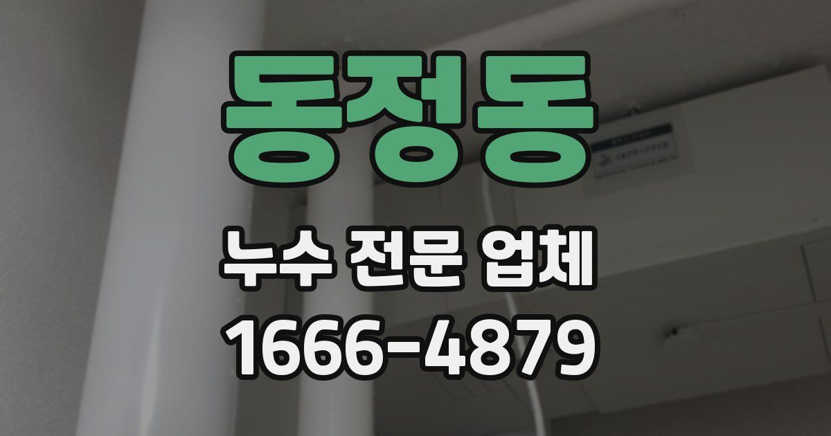 동정동 누수 전문 업체