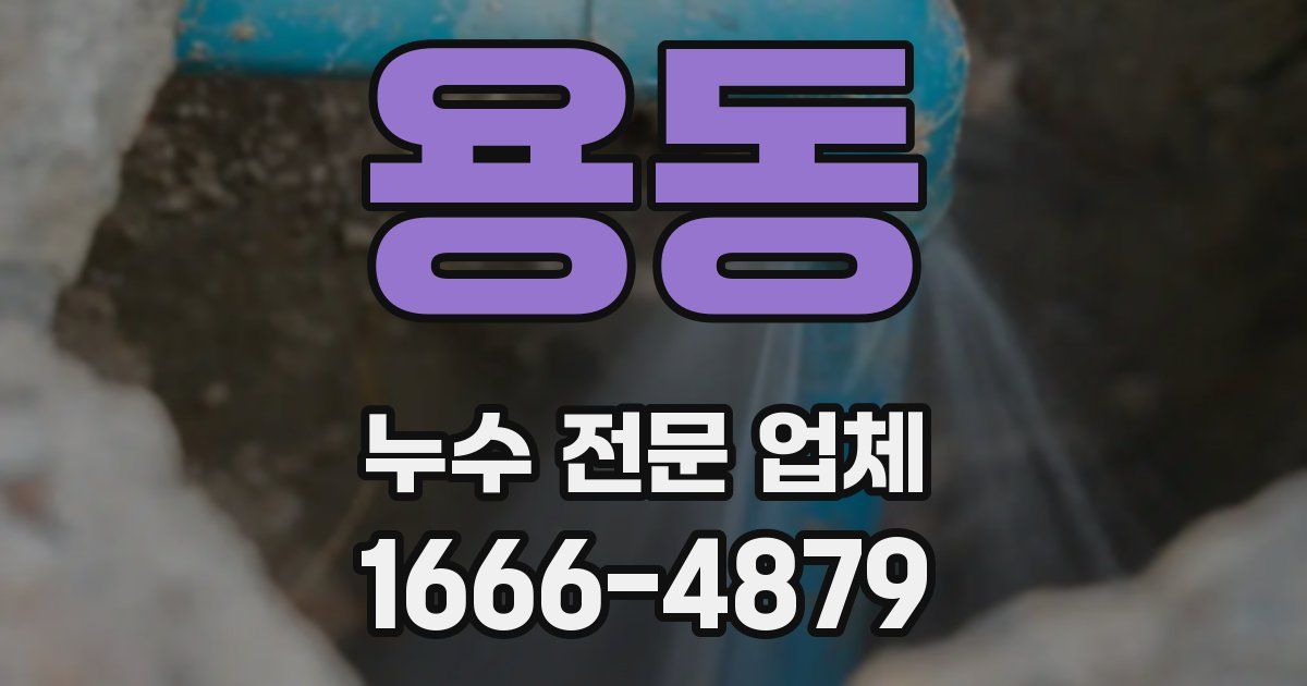 용동 누수 전문 업체