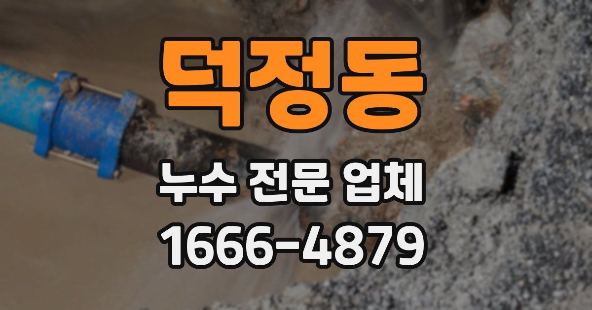 덕정동 누수 전문 업체