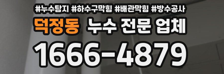 덕정동 누수 전문 업체