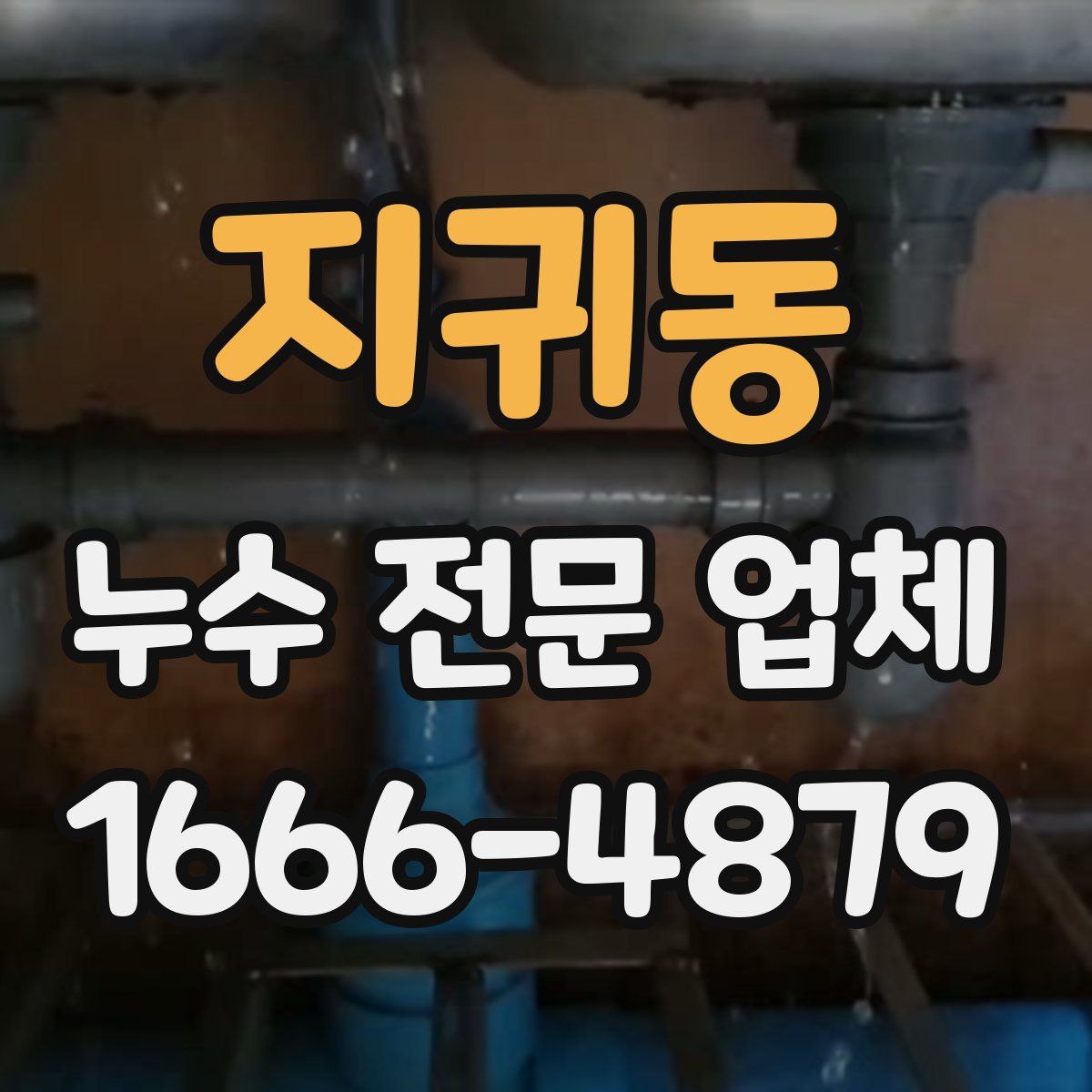 지귀동 누수 전문 업체