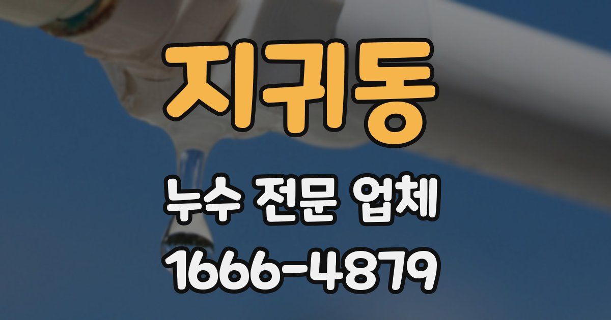 지귀동 누수 전문 업체