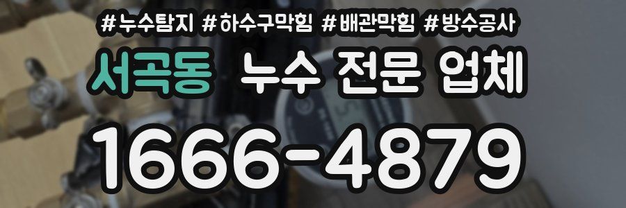 서곡동 누수 전문 업체