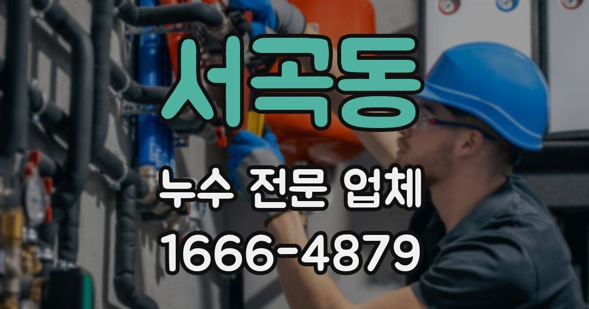 서곡동 누수 전문 업체