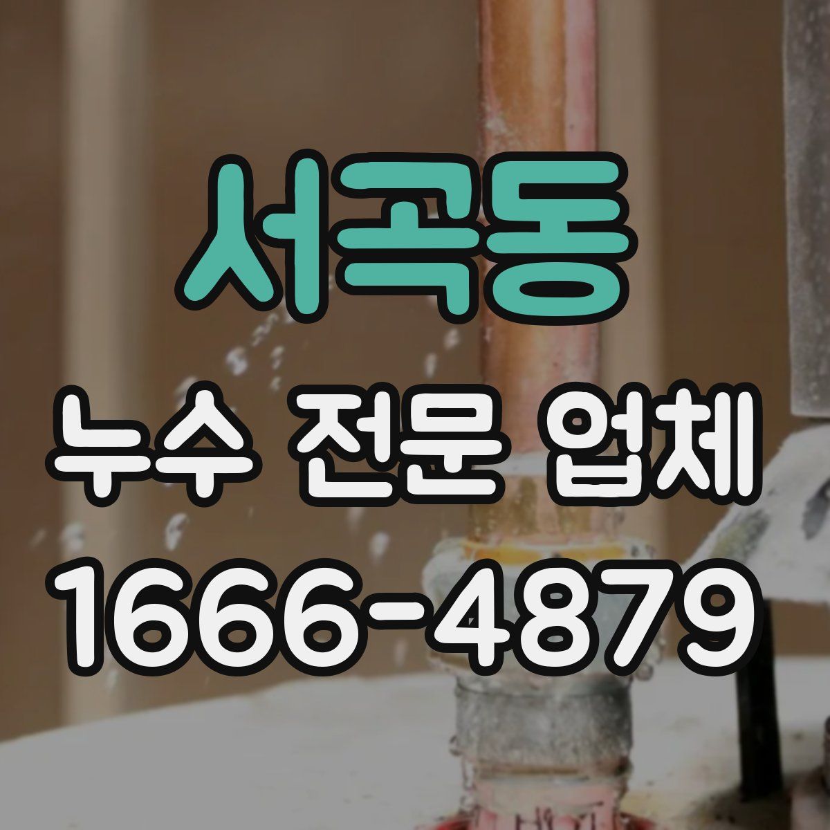서곡동 누수 전문 업체